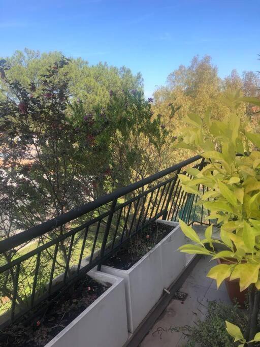 Villa Casa Incantevole Con Vista Parco Appia Antica Rom Exterior foto